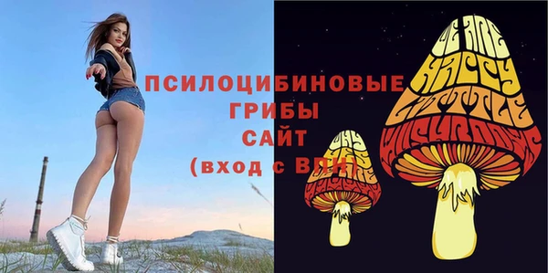 Альфа ПВП Алексеевка