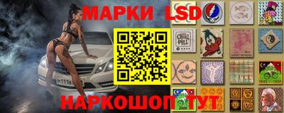 2c-b Кингисепп