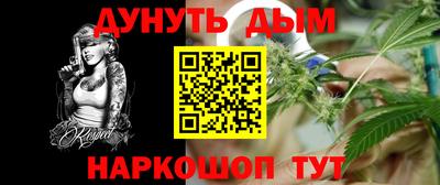 2c-b Кингисепп
