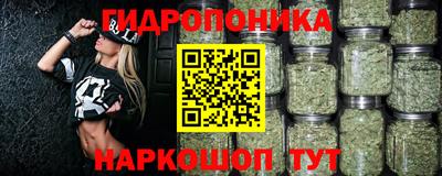 2c-b Кингисепп