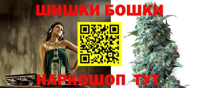 2c-b Кингисепп