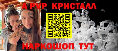 2c-b Кингисепп