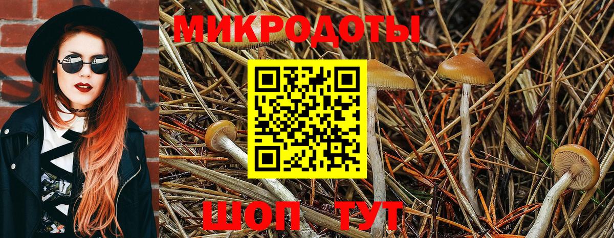 Коркино  Псилоцибиновые грибы MAGIC MUSHROOMS  Вход с VPN 